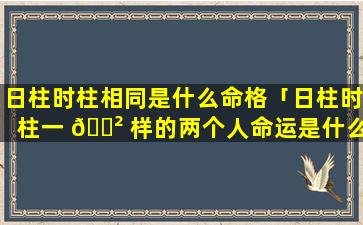 日柱时柱相同是什么命格「日柱时柱一 🌲 样的两个人命运是什么」